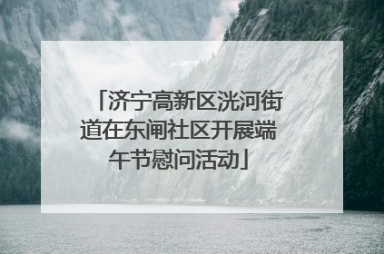 济宁高新区洸河街道在东闸社区开展端午节慰问活动